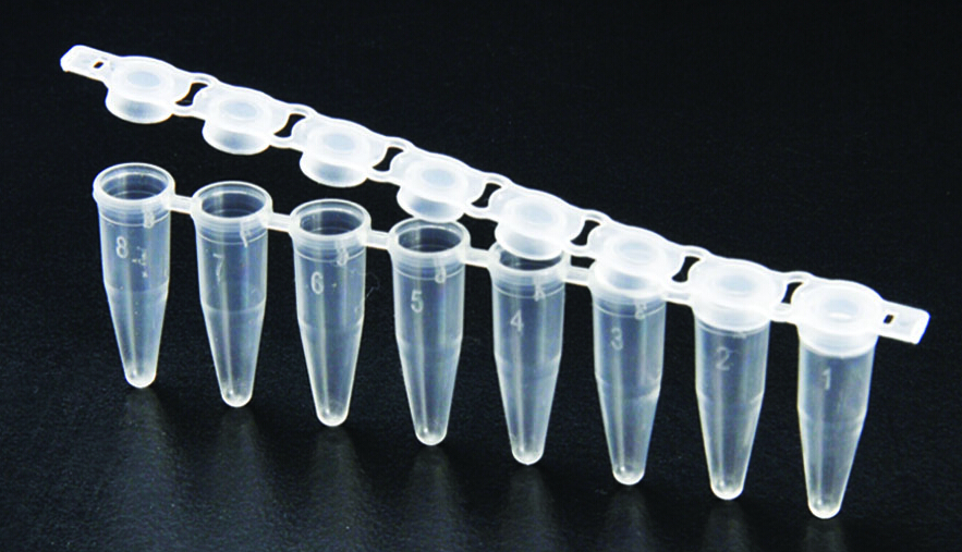 60008  PCR管，8聯(lián)管，PP，0.2ml  韓國(guó)SPL耗材
